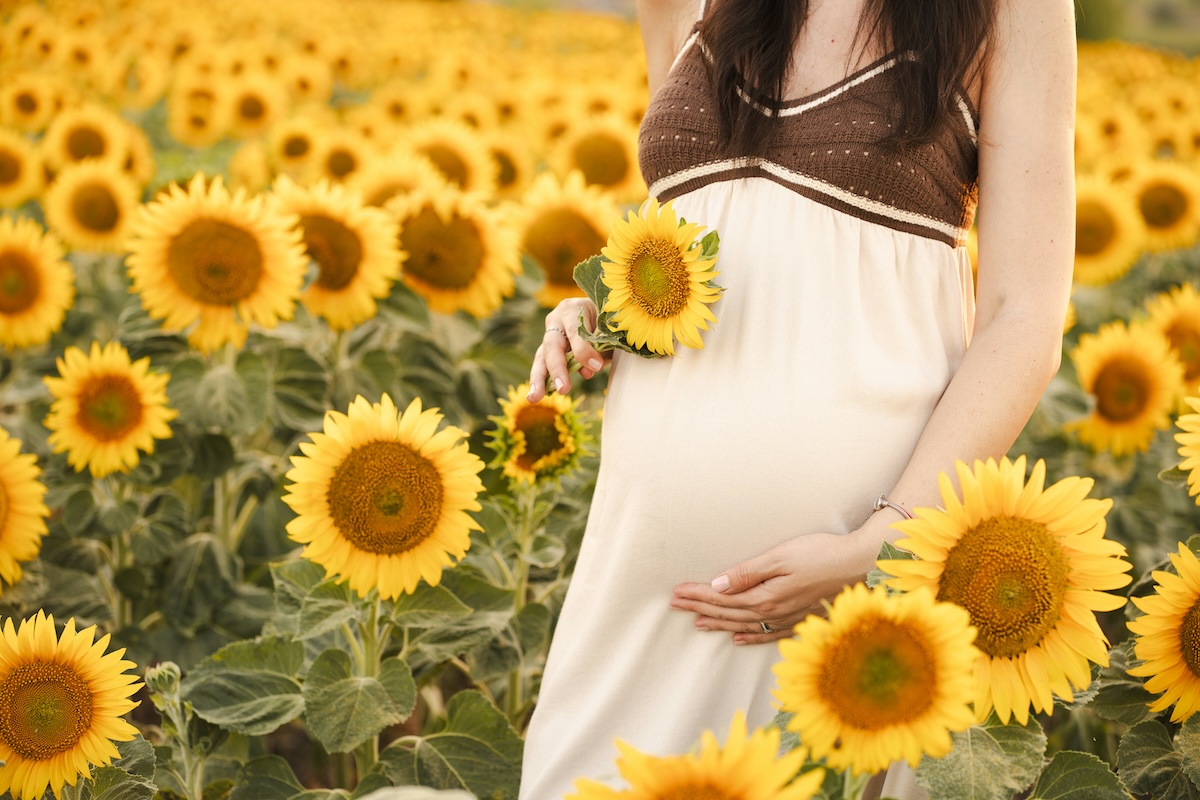 ひまわりと妊婦さんのお写真
